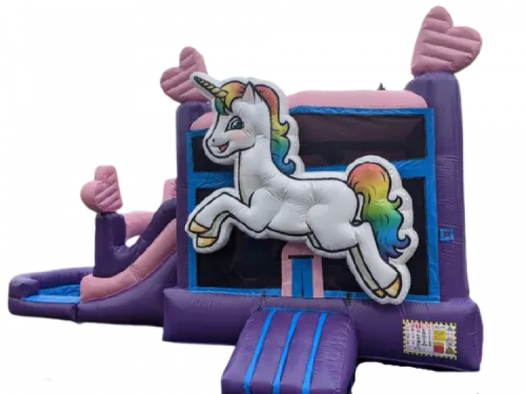 Bounce House w/ Slide Rentals